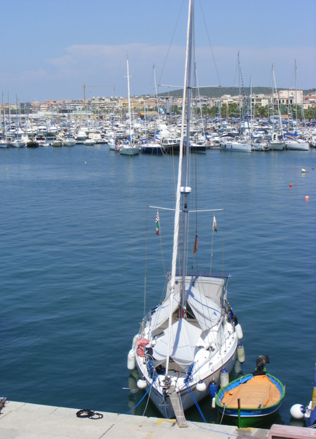 Aderyn Glas in Alghero, Sardinia